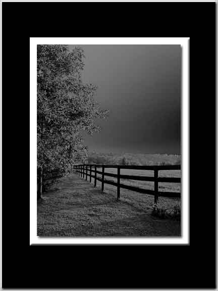 Country Fence Art