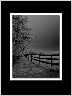 Country Fence Art