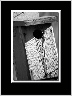 House BW