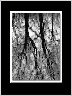 Mirror BW